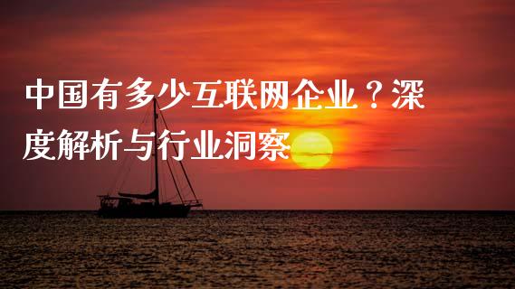 中国有多少互联网企业？深度解析与行业洞察_https://cj002.lansai.wang_保险问答_第1张
