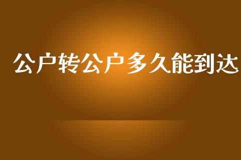 公户转公户多久能到达_https://cj002.lansai.wang_股市问答_第1张