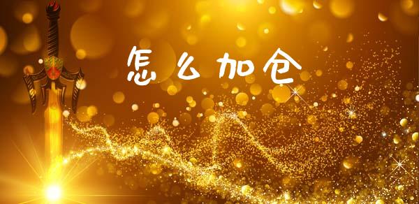 怎么加仓_https://cj002.lansai.wang_财经百问_第1张