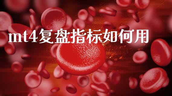 mt4复盘指标如何用_https://cj002.lansai.wang_财经问答_第1张