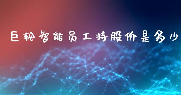 巨轮智能员工持股价是多少_https://cj002.lansai.wang_股市问答_第1张