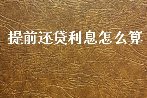 提前还贷利息怎么算_https://cj002.lansai.wang_保险问答_第1张
