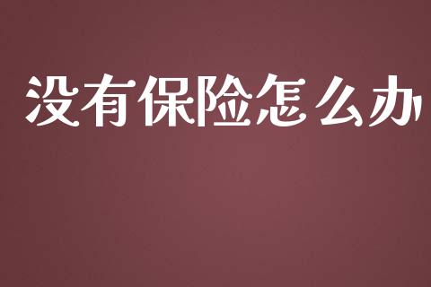 没有保险怎么办_https://cj002.lansai.wang_保险问答_第1张