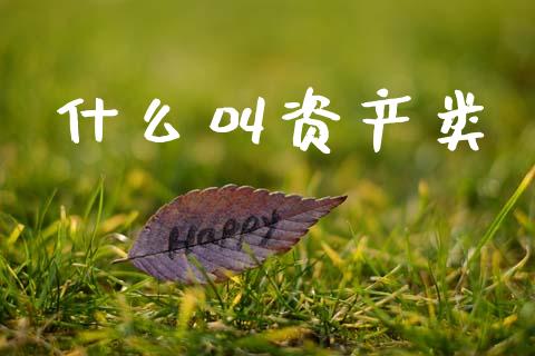 什么叫资产类_https://cj002.lansai.wang_会计问答_第1张