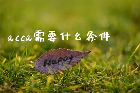 acca需要什么条件_https://cj002.lansai.wang_会计问答_第1张
