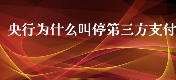央行为什么叫停第三方支付_https://cj002.lansai.wang_财经问答_第1张