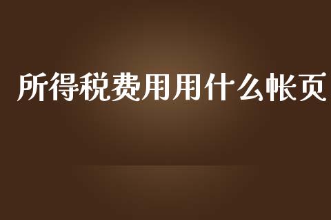 所得税费用用什么帐页_https://cj002.lansai.wang_会计问答_第1张