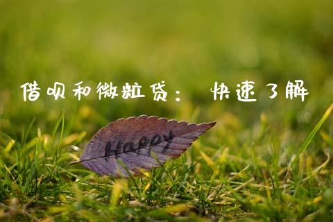借呗和微粒贷： 快速了解_https://cj002.lansai.wang_股市问答_第1张