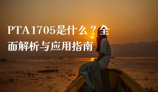 PTA1705是什么？全面解析与应用指南_https://cj002.lansai.wang_财经问答_第1张