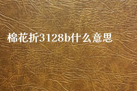 棉花折3128b什么意思_https://cj002.lansai.wang_金融问答_第1张