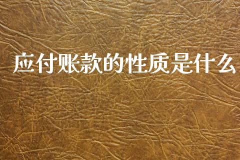 应付账款的性质是什么_https://cj002.lansai.wang_会计问答_第1张