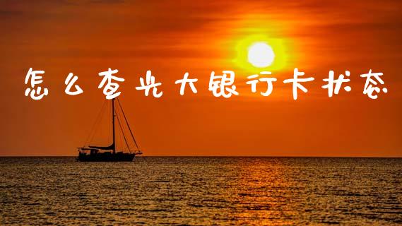 怎么查光大银行卡状态_https://cj002.lansai.wang_金融问答_第1张