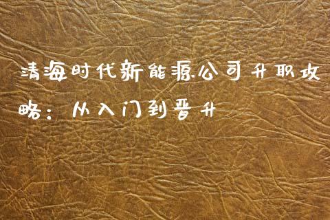 清海时代新能源公司升职攻略：从入门到晋升_https://cj002.lansai.wang_理财问答_第1张
