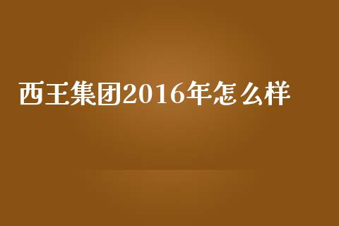 西王集团2016年怎么样_https://cj002.lansai.wang_金融问答_第1张