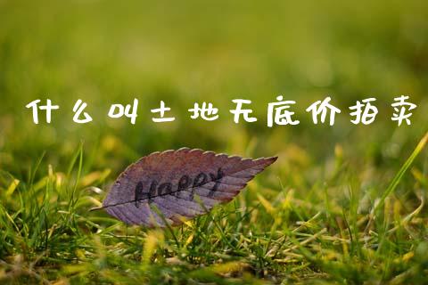 什么叫土地无底价拍卖_财经问答_第1张_财经百问网 什么叫土地无底价拍卖_https://cj002.lansai.wang_财经问答_第1张
