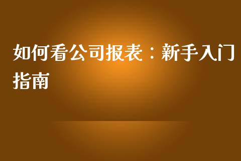如何看公司报表：新手入门指南_https://cj002.lansai.wang_理财问答_第1张