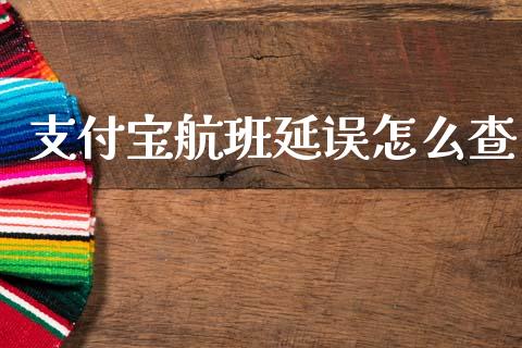 支付宝航班延误怎么查_https://cj002.lansai.wang_保险问答_第1张