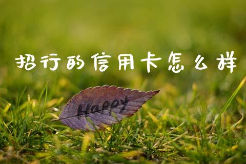 招行的信用卡怎么样_https://cj002.lansai.wang_金融问答_第1张