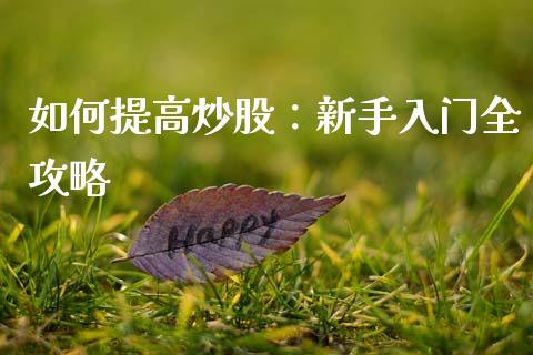 如何提高炒股：新手入门全攻略_https://cj002.lansai.wang_财经问答_第1张