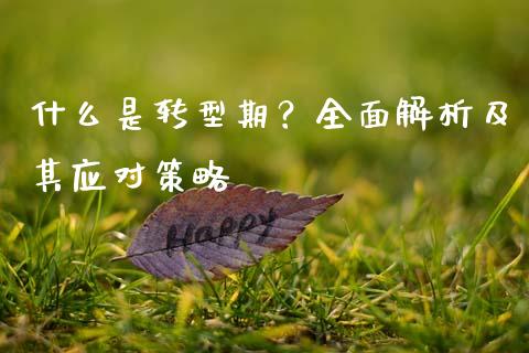 什么是转型期？全面解析及其应对策略_https://cj002.lansai.wang_期货问答_第1张