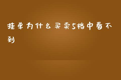 挂单为什么买卖5档中看不到_https://cj002.lansai.wang_股市问答_第1张