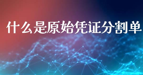 什么是原始凭证分割单_https://cj002.lansai.wang_会计问答_第1张