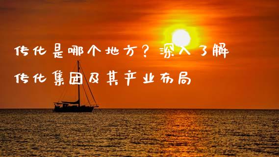 传化是哪个地方？深入了解传化集团及其产业布局_https://cj002.lansai.wang_股市问答_第1张