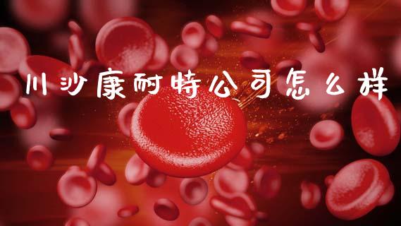 川沙康耐特公司怎么样_https://cj002.lansai.wang_期货问答_第1张