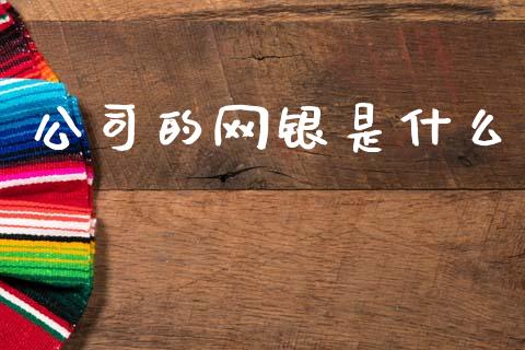 公司的网银是什么_https://cj002.lansai.wang_金融问答_第1张
