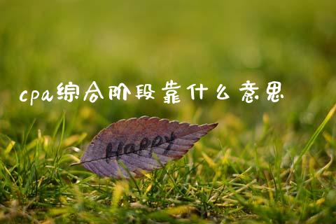 cpa综合阶段靠什么意思_https://cj002.lansai.wang_会计问答_第1张