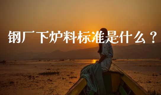 钢厂下炉料标准是什么？_https://cj002.lansai.wang_保险问答_第1张