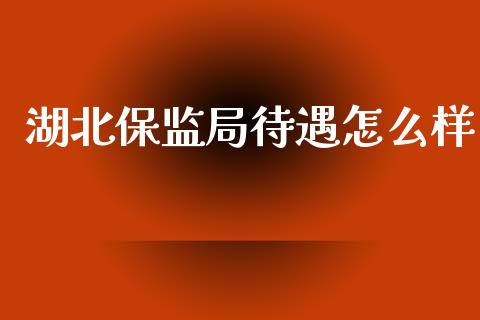 湖北保监局待遇怎么样_https://cj002.lansai.wang_保险问答_第1张