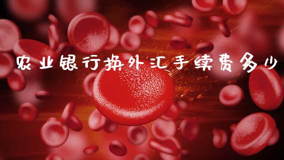 农业银行换外汇手续费多少_https://cj002.lansai.wang_财经问答_第1张