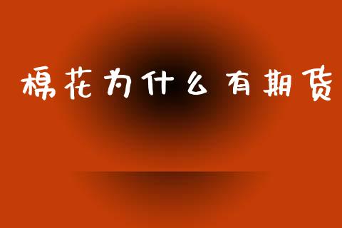 棉花为什么有期货_https://cj002.lansai.wang_财经百问_第1张