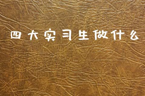 四大实习生做什么_https://cj002.lansai.wang_会计问答_第1张