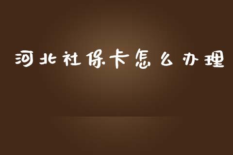 河北社保卡怎么办理_https://cj002.lansai.wang_保险问答_第1张