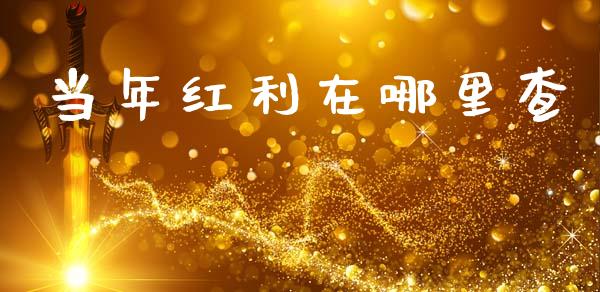 当年红利在哪里查_https://cj002.lansai.wang_股市问答_第1张