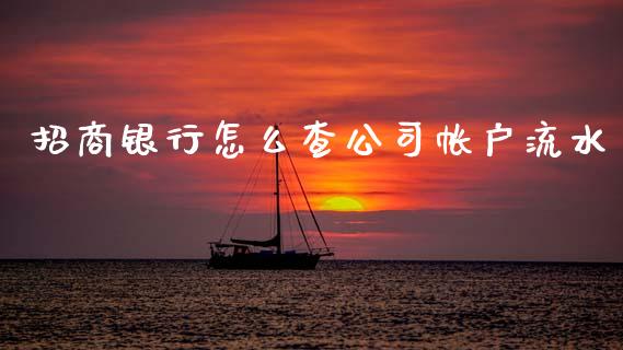 招商银行怎么查公司帐户流水_https://cj002.lansai.wang_金融问答_第1张