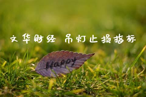 文华财经 吊灯止损指标_财经问答_第1张_财经百问网 文华财经 吊灯止损指标_https://cj002.lansai.wang_财经问答_第1张