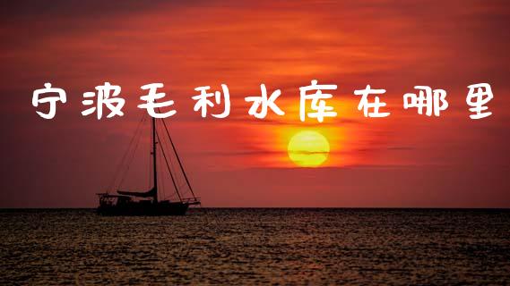宁波毛利水库在哪里_https://cj002.lansai.wang_股市问答_第1张