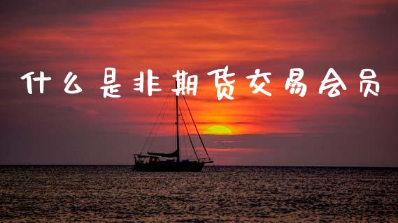 什么是非期货交易会员_https://cj002.lansai.wang_金融问答_第1张