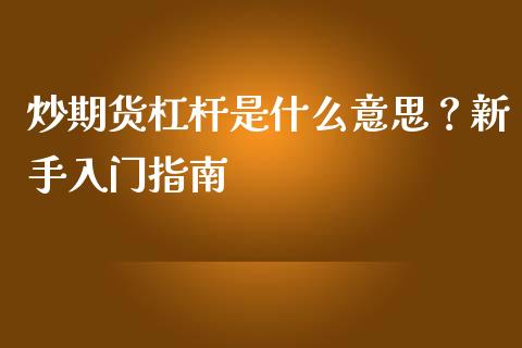 炒期货杠杆是什么意思?新手入门指南_会计问答_第1张_财经百问网 炒期货杠杆是什么意思?新手入门指南_https://cj002.lansai.wang_会计问答_第1张