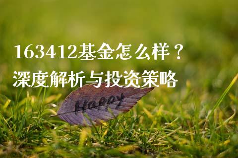 163412基金怎么样？深度解析与投资策略_https://cj002.lansai.wang_理财问答_第1张