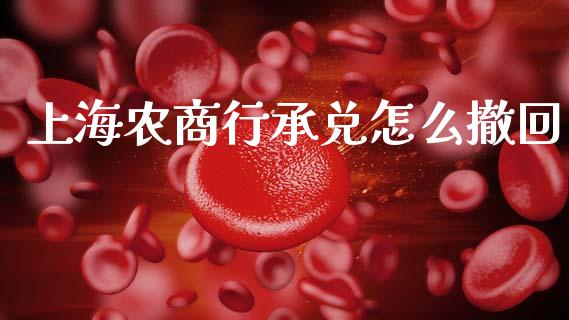 上海农商行承兑怎么撤回_https://cj002.lansai.wang_金融问答_第1张