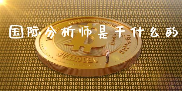 国际分析师是干什么的_https://cj002.lansai.wang_会计问答_第1张