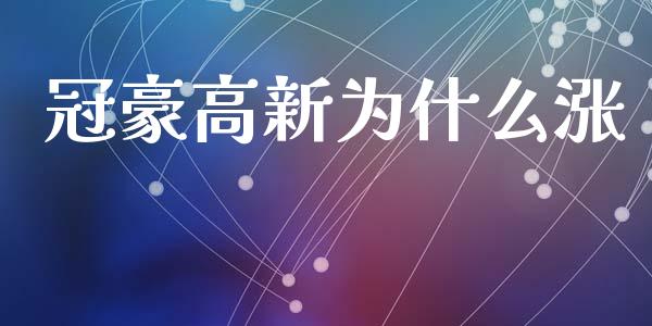 冠豪高新为什么涨_https://cj002.lansai.wang_会计问答_第1张