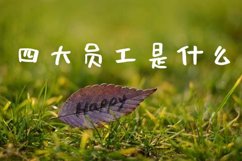 四大员工是什么_https://cj002.lansai.wang_会计问答_第1张
