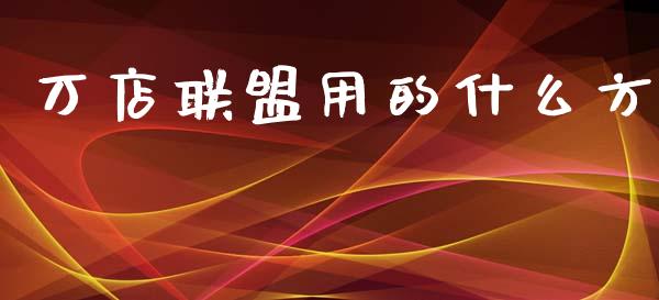 万店联盟用的什么方_https://cj002.lansai.wang_财经百问_第1张