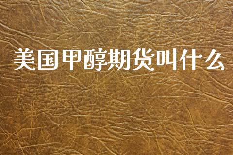 美国甲醇期货叫什么_https://cj002.lansai.wang_期货问答_第1张