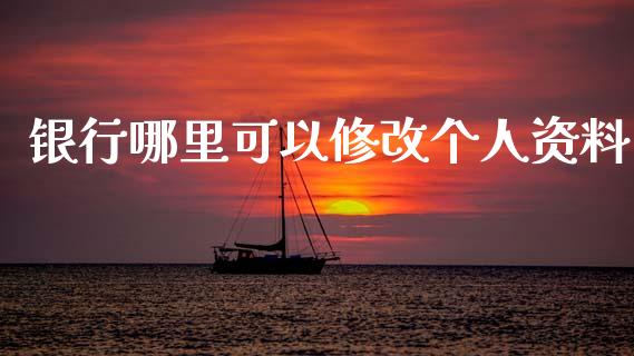 银行哪里可以修改个人资料_https://cj002.lansai.wang_理财问答_第1张